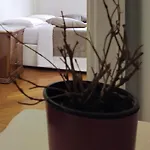 Lor